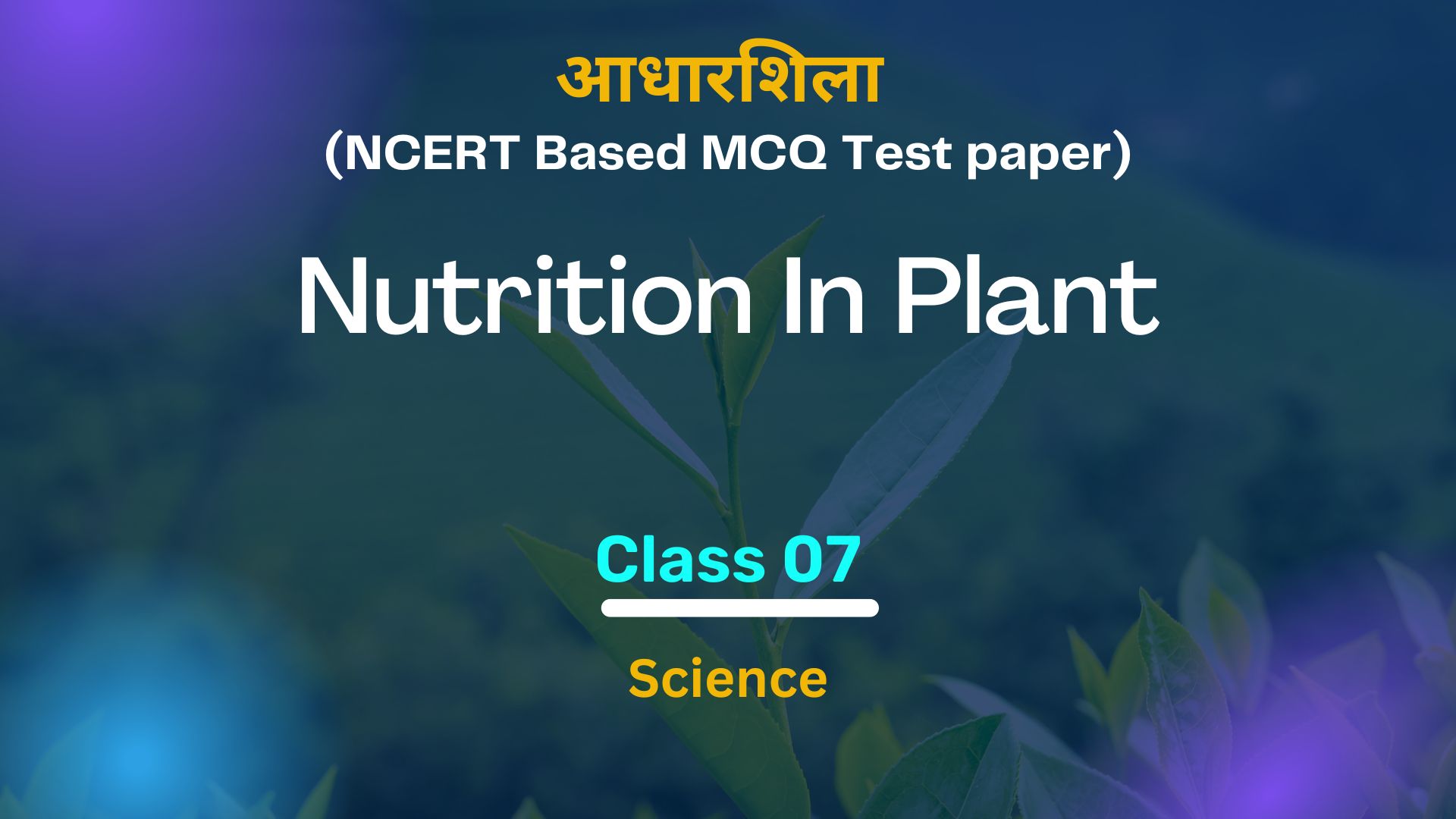 Nutrition In Plant (Aadharshila)